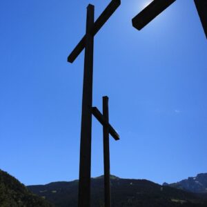 a group of wooden poles
